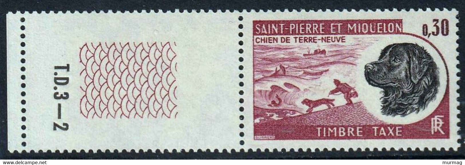 ST-PIERRE-ET-MIQUELON - Faune, Chien De Terre-Neuve - Y&T Tbre-taxe N° 77-79-80-81 - 1973 - Altri & Non Classificati