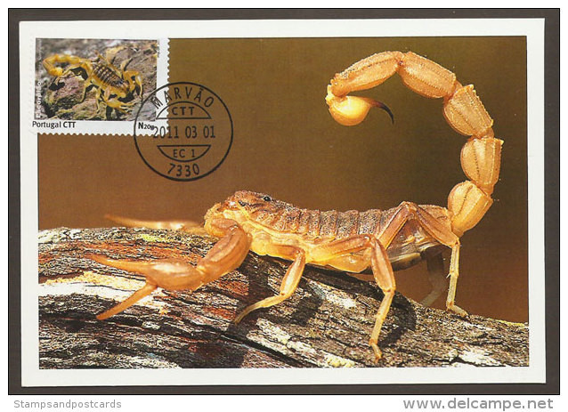 Portugal Carte Maximum Timbre Personnalisé Scorpione Arachnide 2011 Personalized Stamp Scorpion Arachnida Maxicard - Spinnen