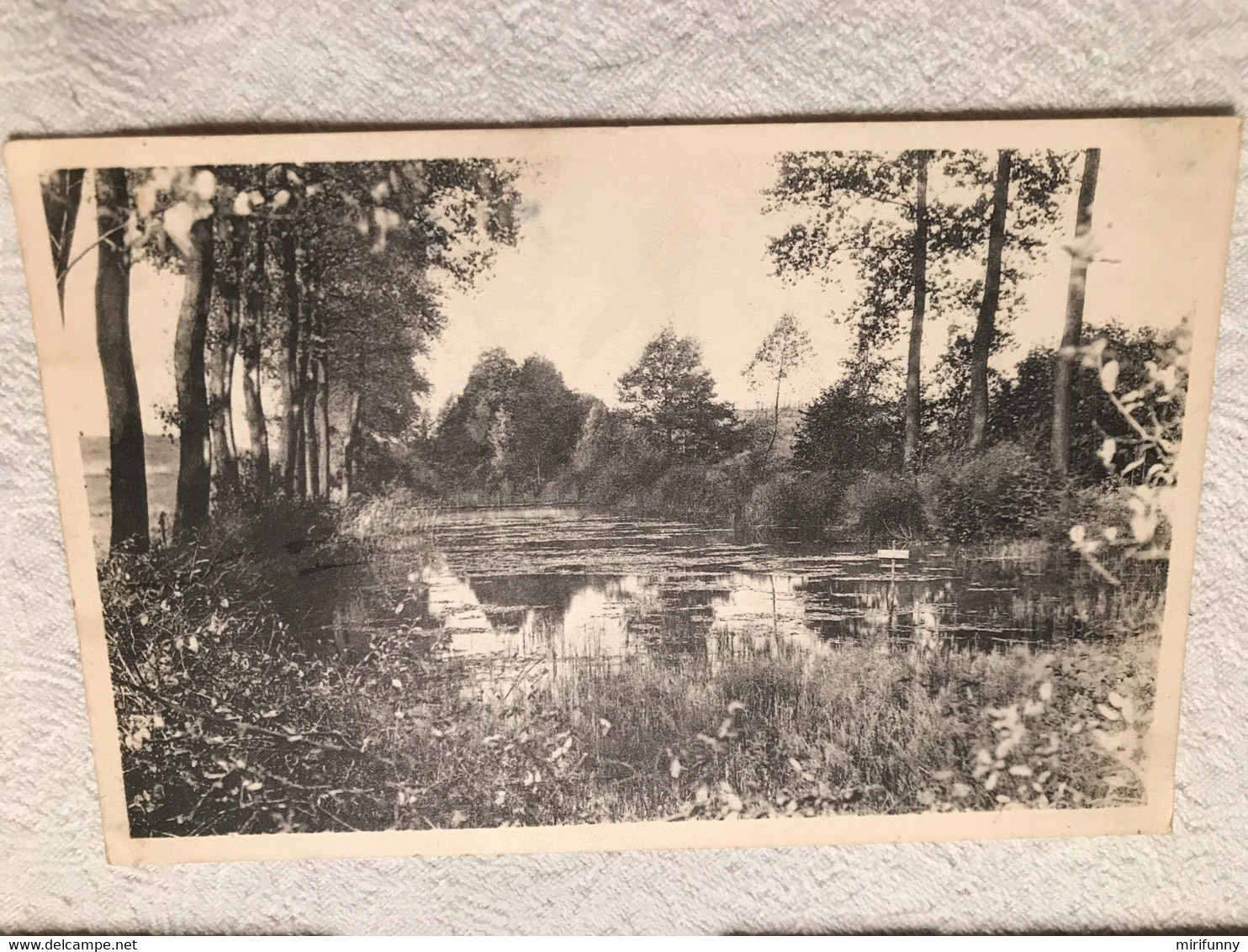 BERZEE LES ETANGS ( Dits Bayau) Nels - Édit Olivier Duquesne Hôtel N D De Grâce Berzee - Walcourt