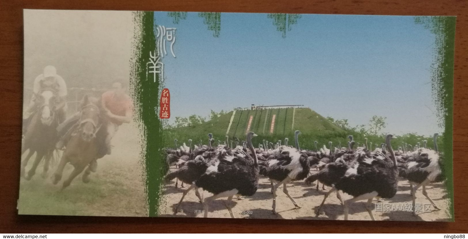 Ostrich Farm,horse Racing,China 2010 National 3A Level Scenic Spot Jinlu Ostrich Amusement Park Pre-stamped Card - Autruches