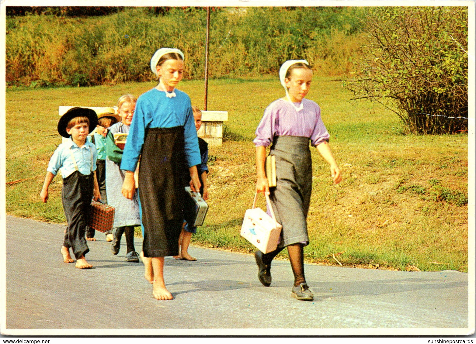 Pennsylvania Amish Country Amish Children Walking Home From School - Lancaster