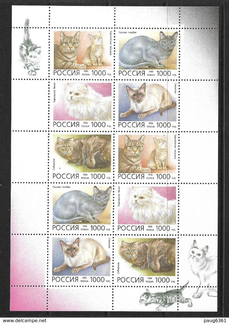 RUSSIE 1996 FEUILLET CHATS   Yvert N°6170/74  NEUF MNH** - Hojas Completas