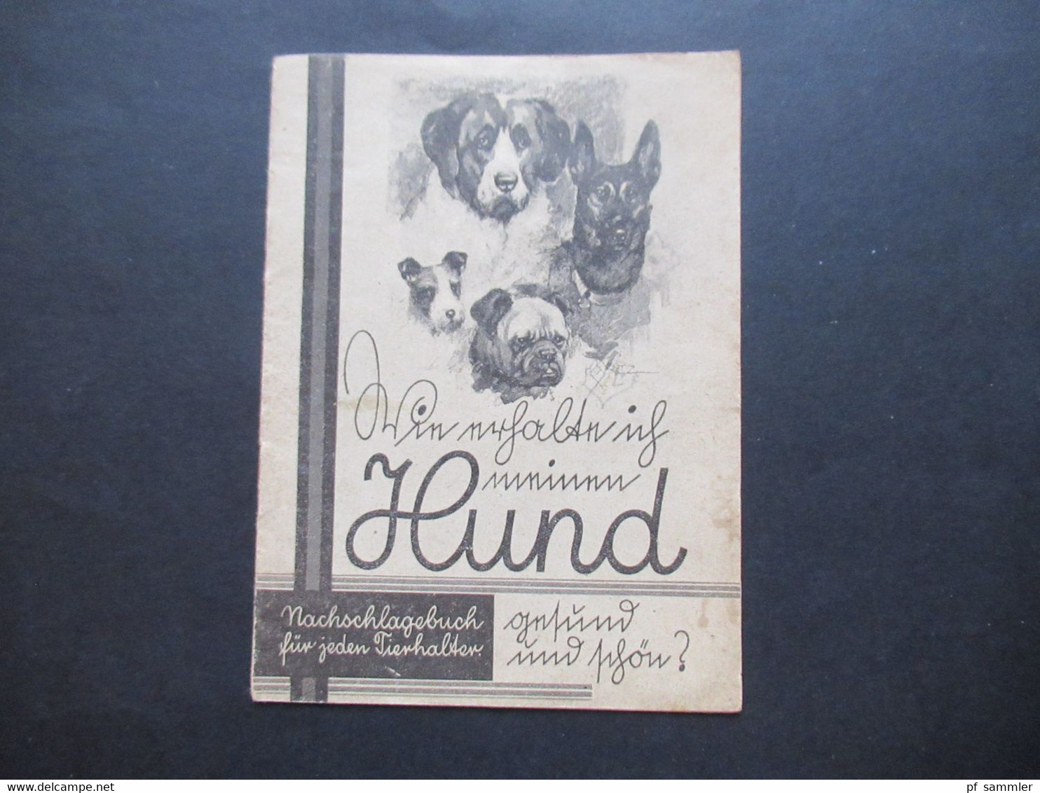 Kleines Heft / Nachschlagebuch Für Jeden Hundehalter Gesund Und Schön Ca. 1950er Jahre Creolinwerke Hamburg - Publicités