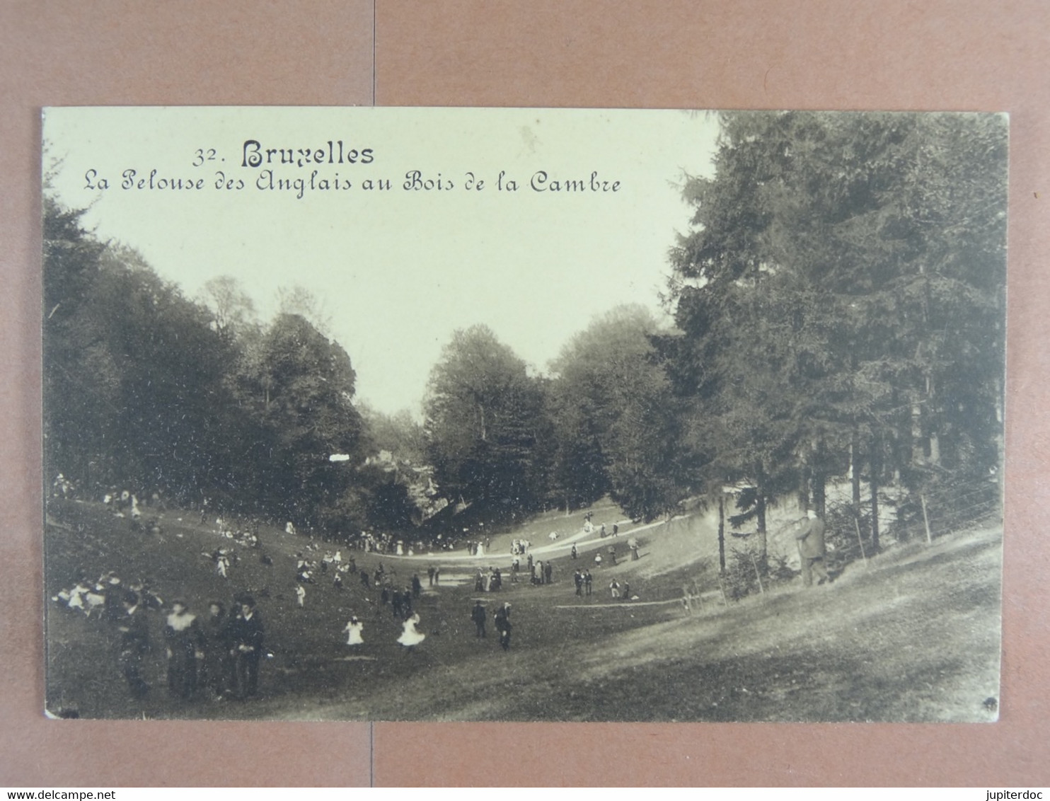 Bruxelles La Pelouse Des Anglais Au Bois De La Cambre - Forêts, Parcs, Jardins