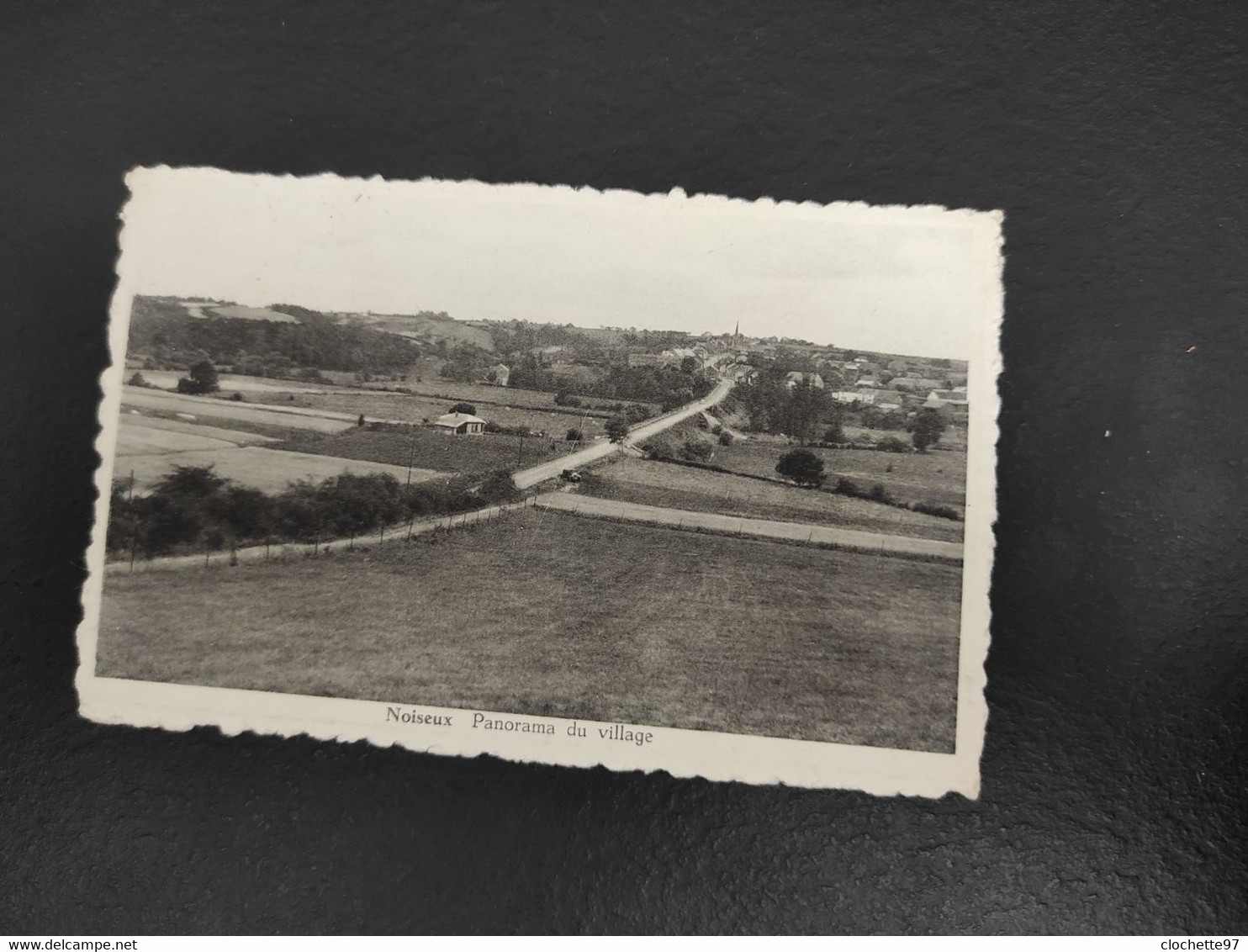 A 3823 - Noiseux Panorama Du Village - Somme-Leuze