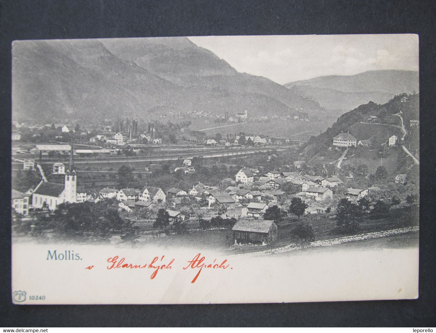 AK Mollis  Ca.1903  ///   D*48007 - Mollis