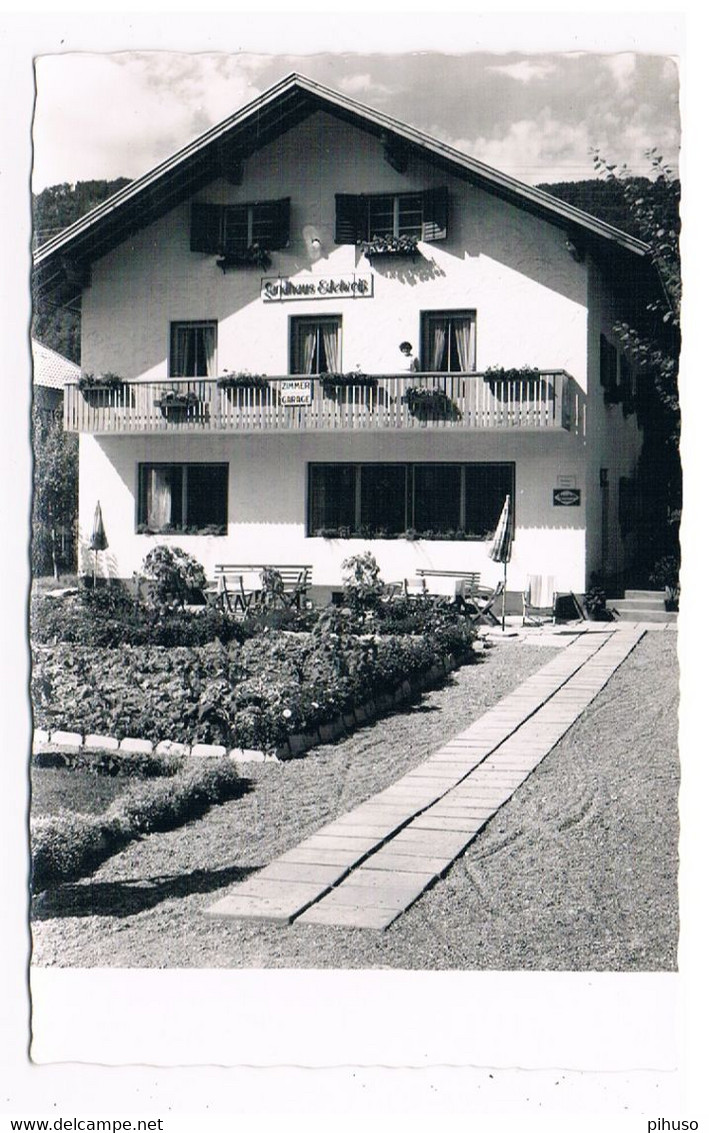 A-4908   TELFS : Gasthaus Eckweiss - Telfs