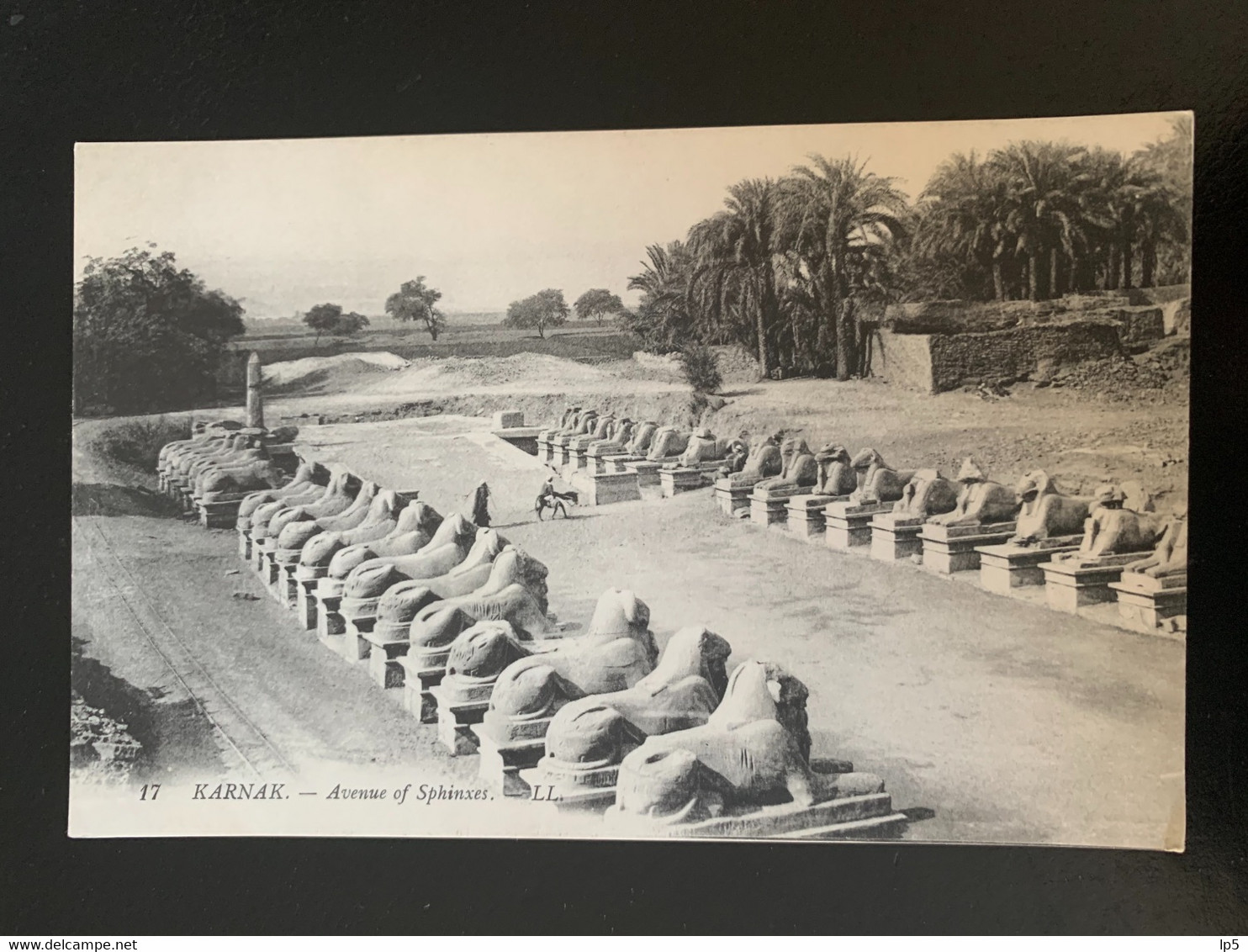 Karnak. Avenue Of Sphinxes. 17 LL - Sphinx