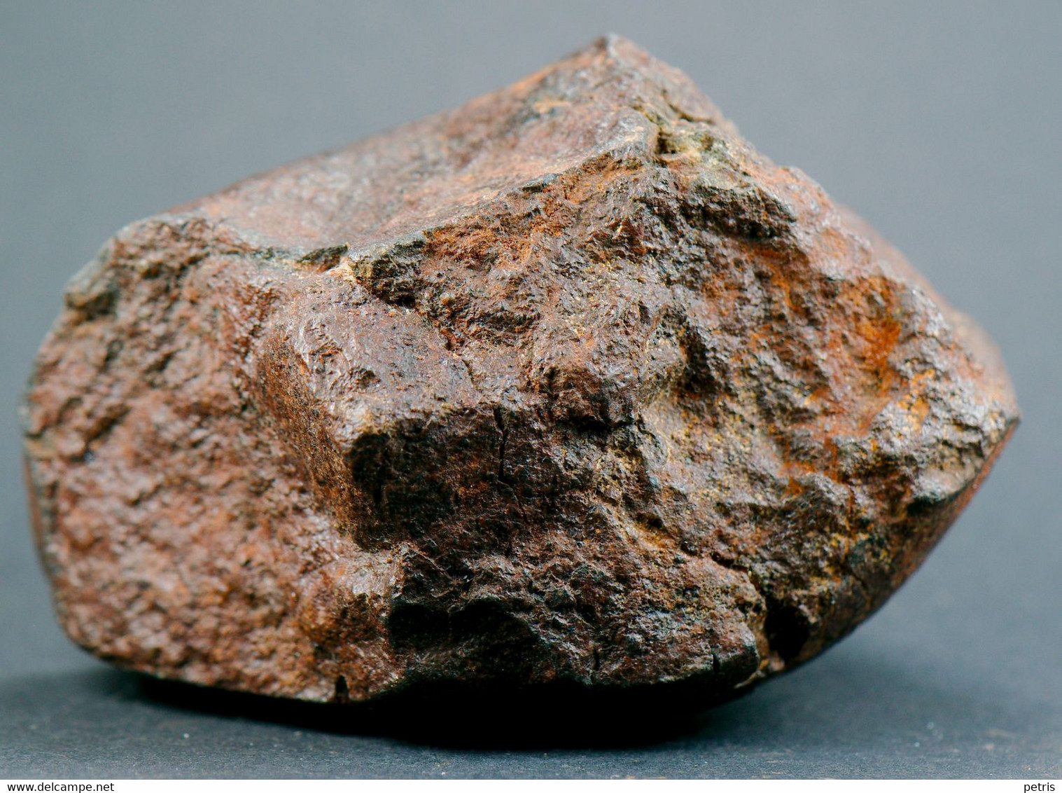 Meteorite NWA (North West Africa) - 221 Gr - Meteoriti