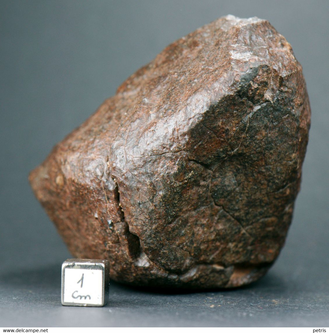 Meteorite NWA (North West Africa) - 314 Gr - Météorites