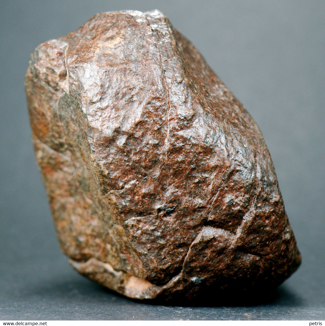 Meteorite NWA (North West Africa) - 314 Gr - Meteoriten