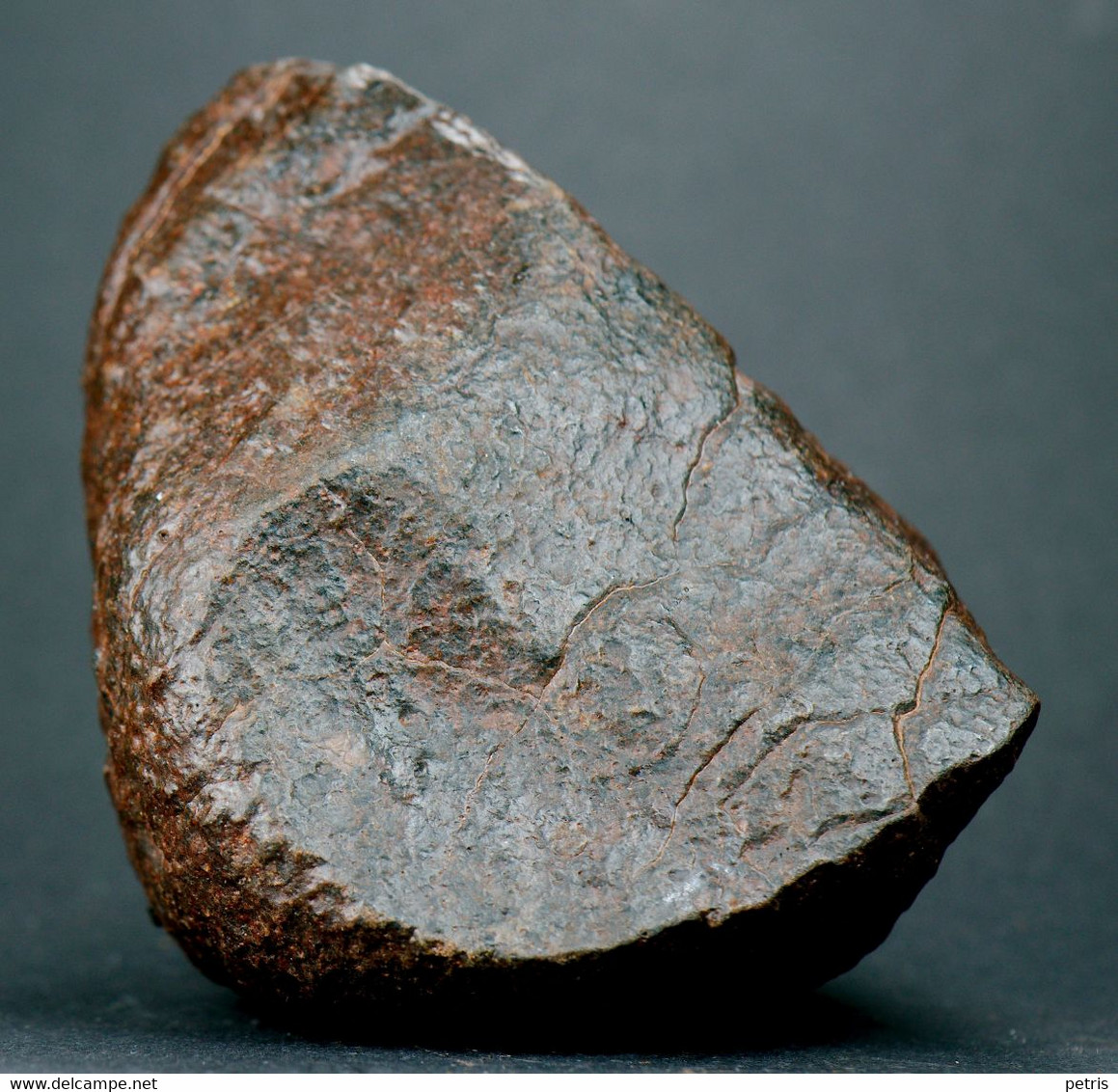 Meteorite NWA (North West Africa) - 314 Gr - Meteorieten