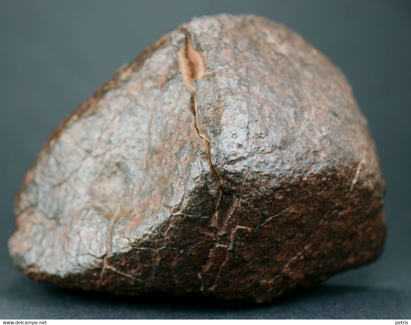 Meteorite NWA (North West Africa) - 314 gr