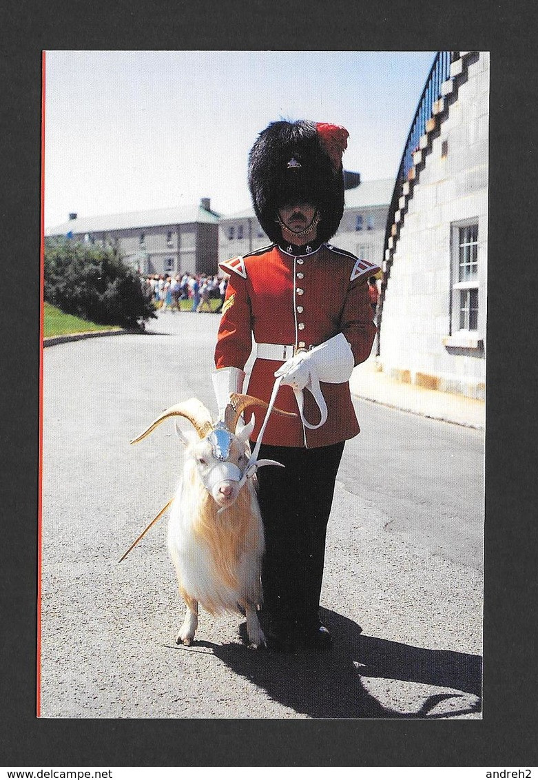 Québec - ROYAL 22e RÉGIMENT - CAPORAL ATTITRÉ À LA GARDE DE LA MASCOTTE DU 22e RÉGIMENT À LA CITADELLE - PHOTO Y.TESSIER - Québec - La Citadelle