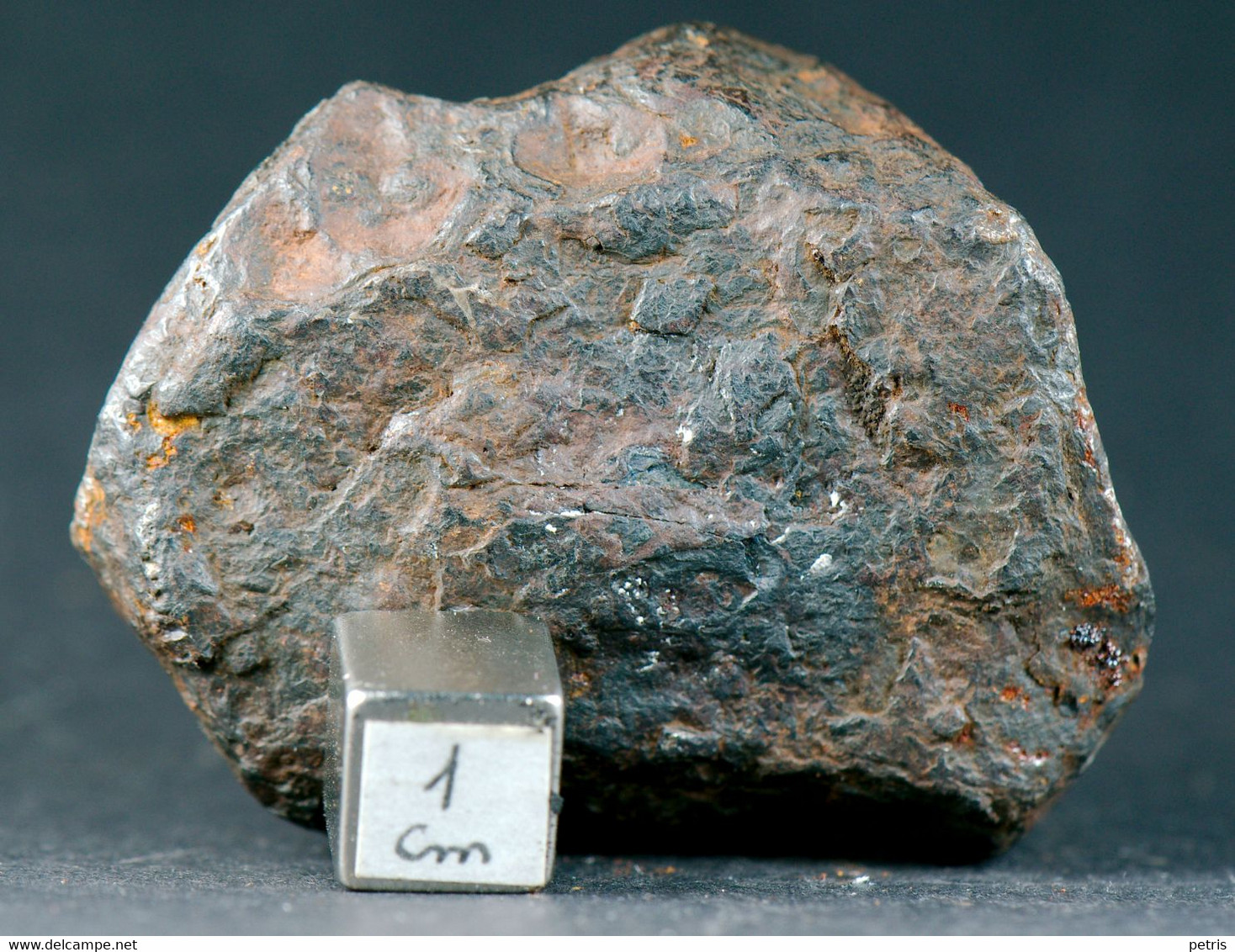 Meteorite Canyon Diablo (Arizona, USA) - 126 Gr - Météorites