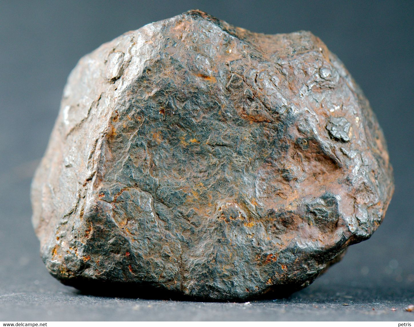 Meteorite Canyon Diablo (Arizona, USA) - 126 Gr - Meteorieten