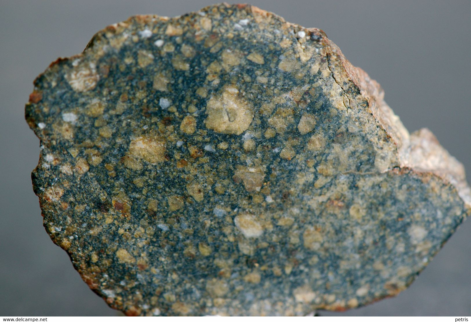 Meteorite Diogenite NWA 6690  (Morocco) - 5.8 Gr - Meteoriten