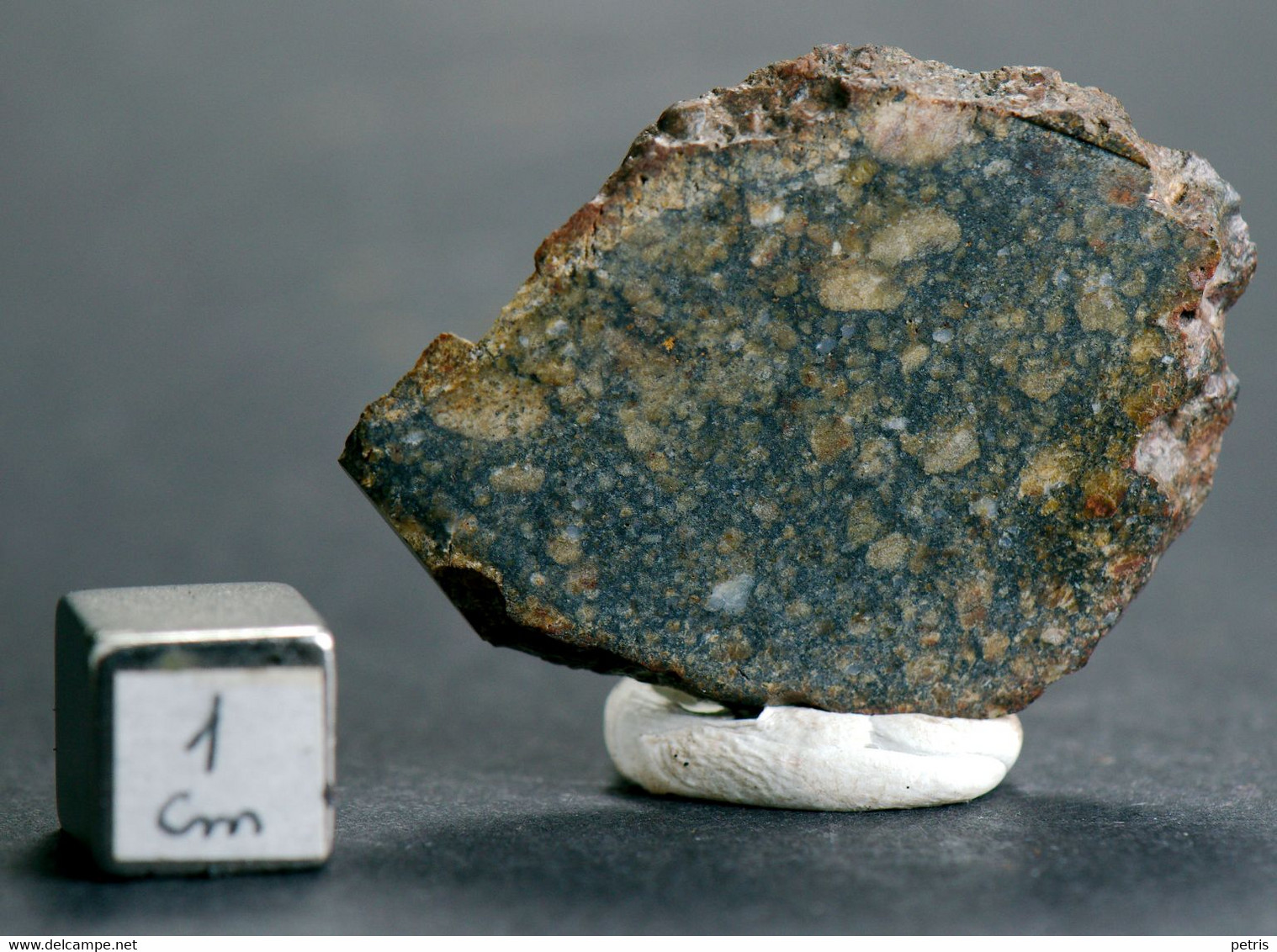 Meteorite Diogenite NWA 6690  (Morocco) - 5.8 Gr - Meteorieten