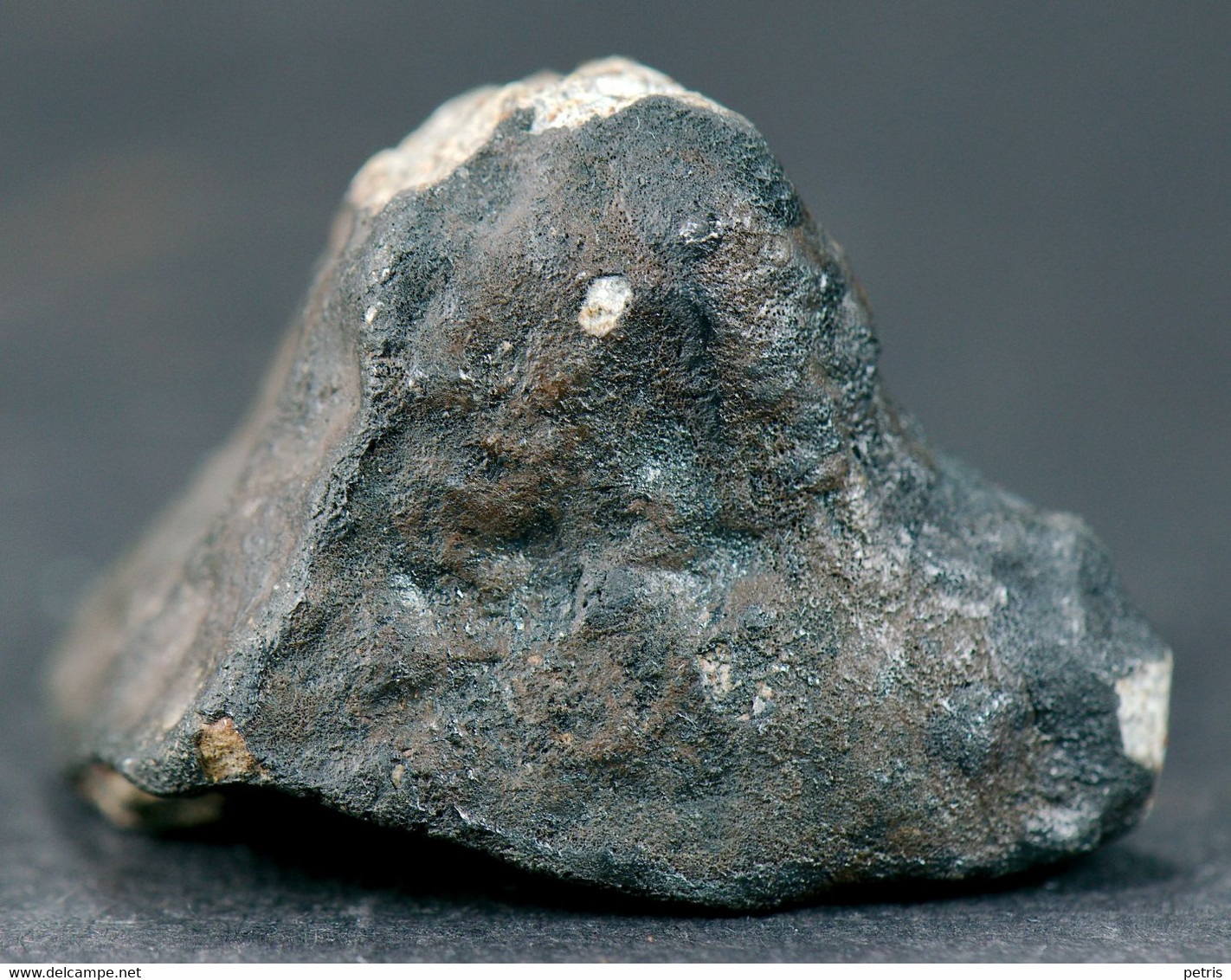 Meteorite Viñales (Pinar Del Rio, Cuba) - 18,25 Gr - Météorites