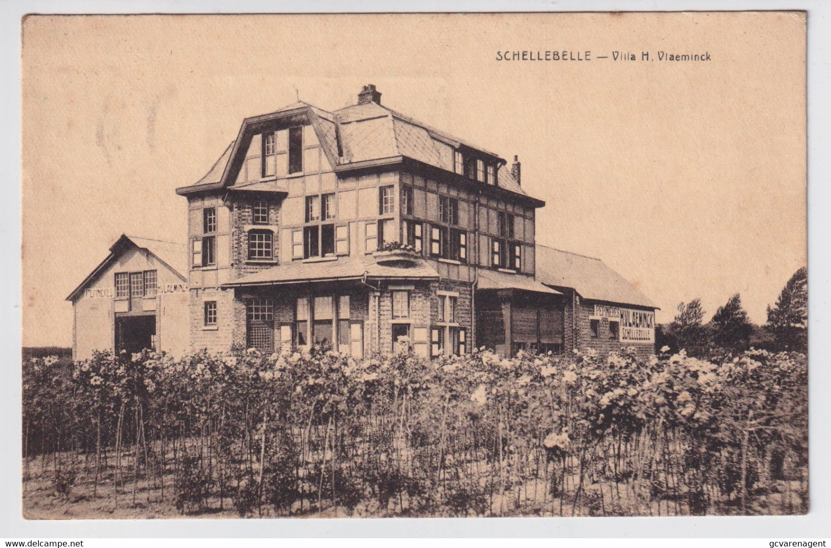 SCHELLEBELLE  VILLA H. VLAEMINCK - Wichelen