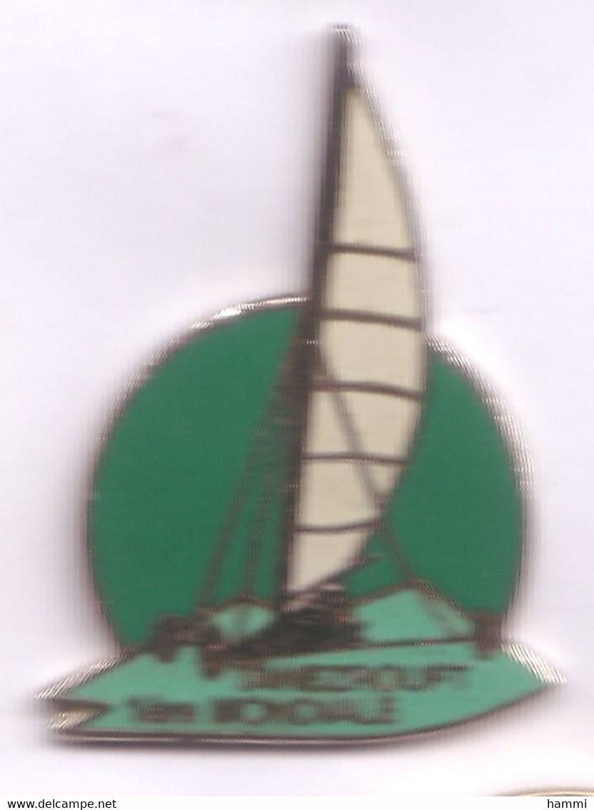 AA116 Pin's PLANCHE CHAR A VOILE Tanezrouft Afrique Sahara Algérie Mali Qualité Egf Version Bleue Verte Achat Immédiat - Ski Nautique