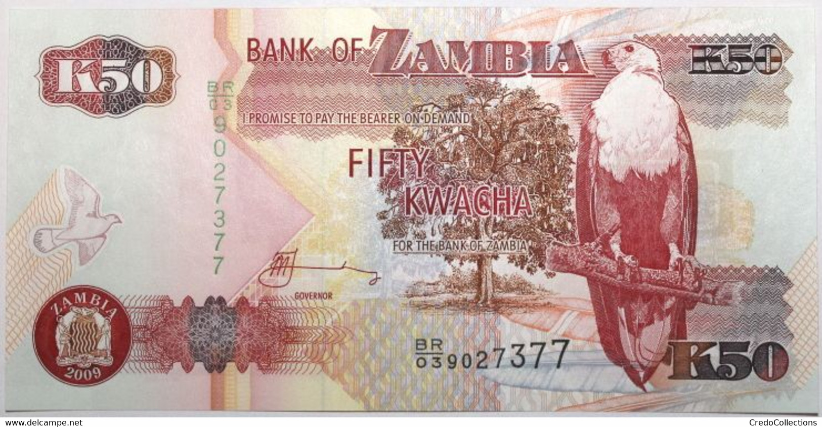 Zambie - 50 Kwacha - 2009 - PICK 37h - NEUF - Zambie