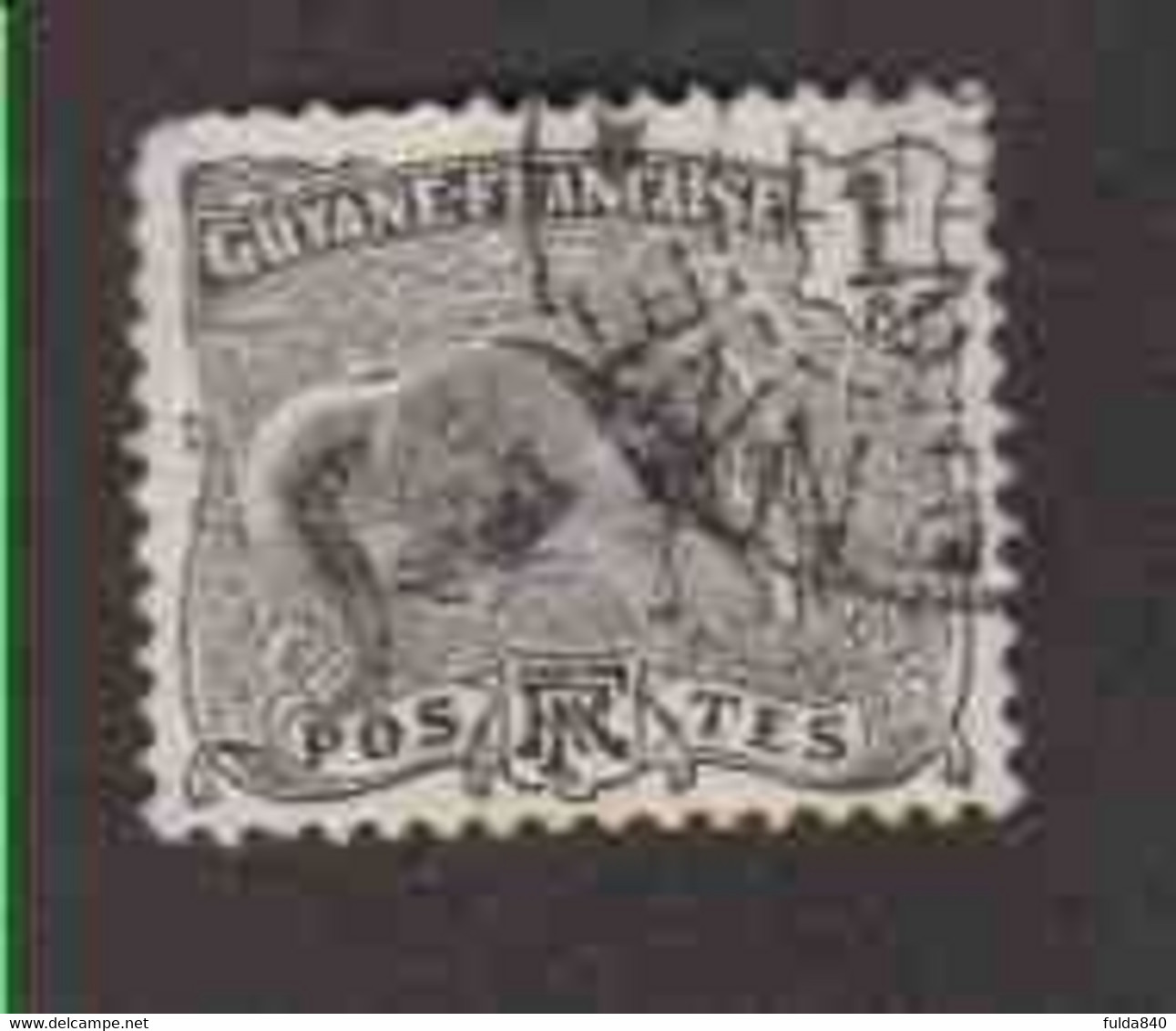GUYANE FRANCAISE (Y&T) 1904-07 - N°49  * Fourmilier *  1c. Obli() - Andere & Zonder Classificatie