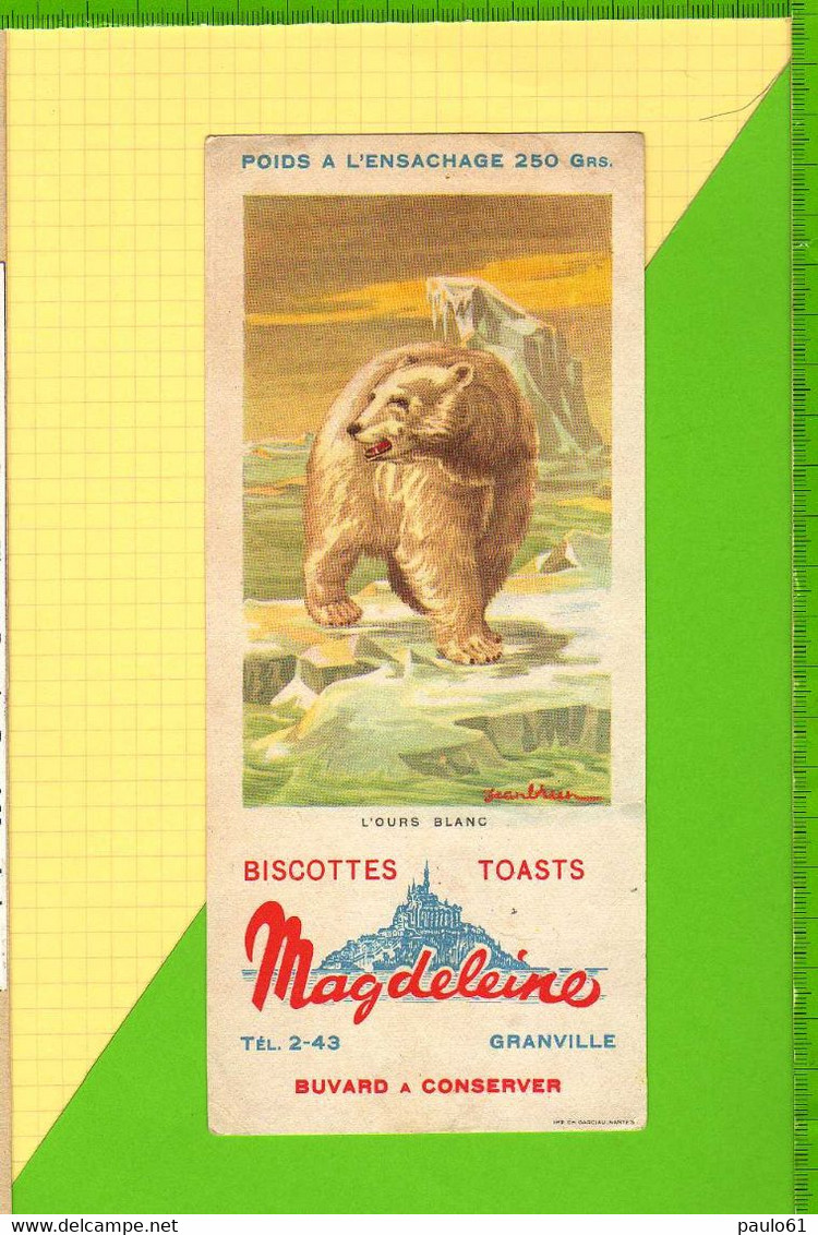 BUVARD & BLOTTER & Biscottes MAGDELEINE OURS - Biscottes