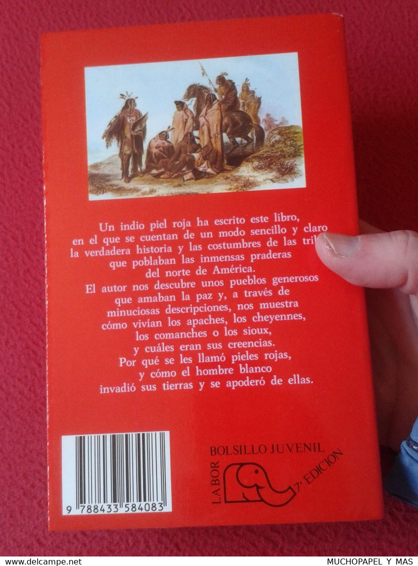 LIBRO MIS ABUELOS LOS INDIOS PIELES ROJAS WILLIAM CAMUS LABOR BOSILLO JUVENIL 7ª EDICIÓN 1988 VER FOTOS Y DESCRIPCIÓN... - Kinder- Und Jugendbücher