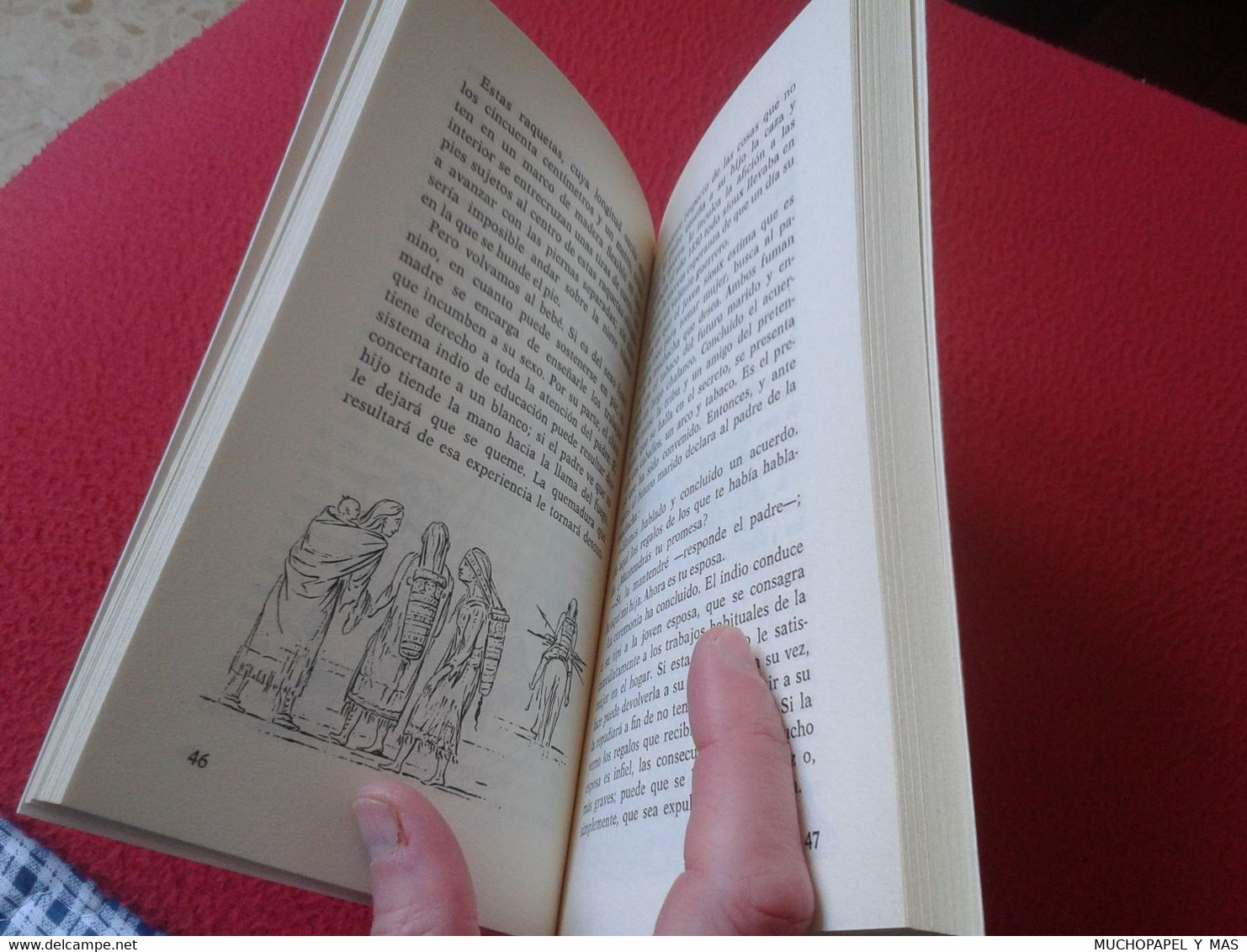 LIBRO MIS ABUELOS LOS INDIOS PIELES ROJAS WILLIAM CAMUS LABOR BOSILLO JUVENIL 7ª EDICIÓN 1988 VER FOTOS Y DESCRIPCIÓN...