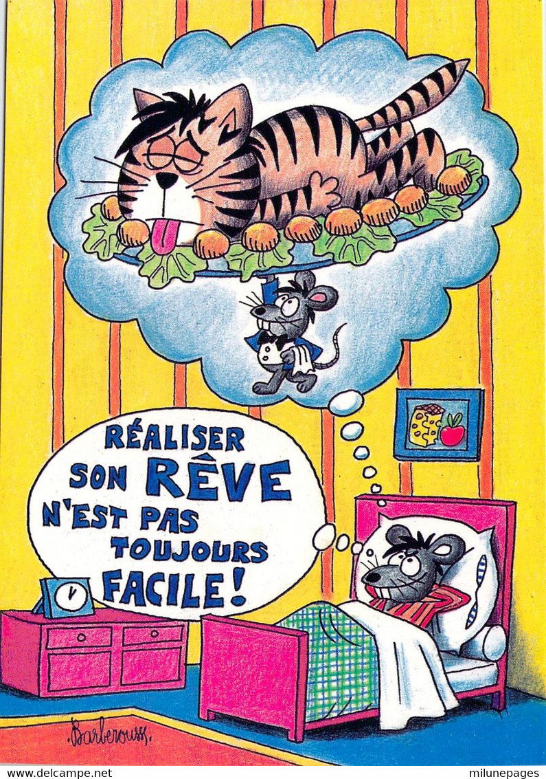 Barberousse Une Vie De Chat N°13 Réaliser Son Rêve N'est Pas Toujours Facile La Souris Mange Le Chat - Barberousse