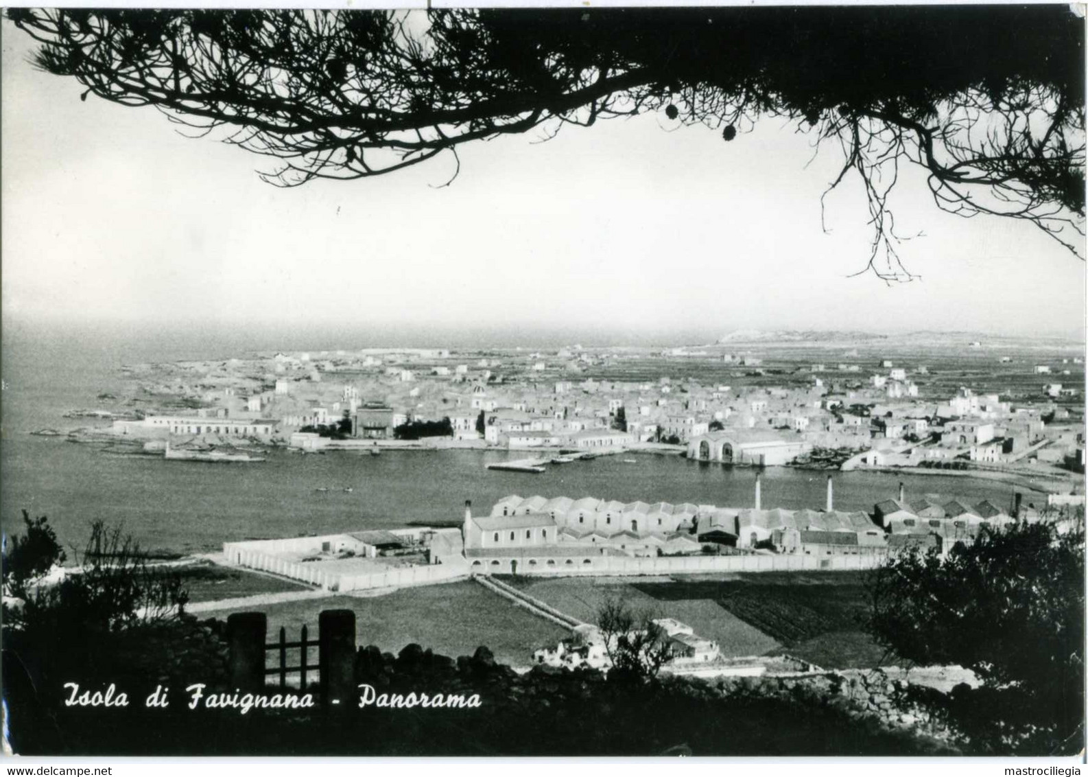 ISOLA DI FAVIGNANA  TRAPANI  Panorama - Trapani