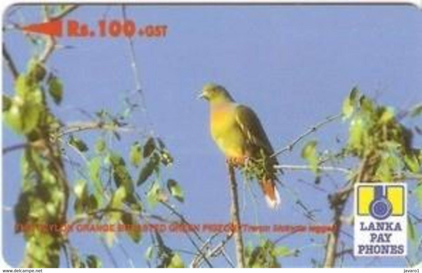 SRILANKA : 37D 100 Orange Breasted Green Pigeon USED - Sri Lanka (Ceylon)