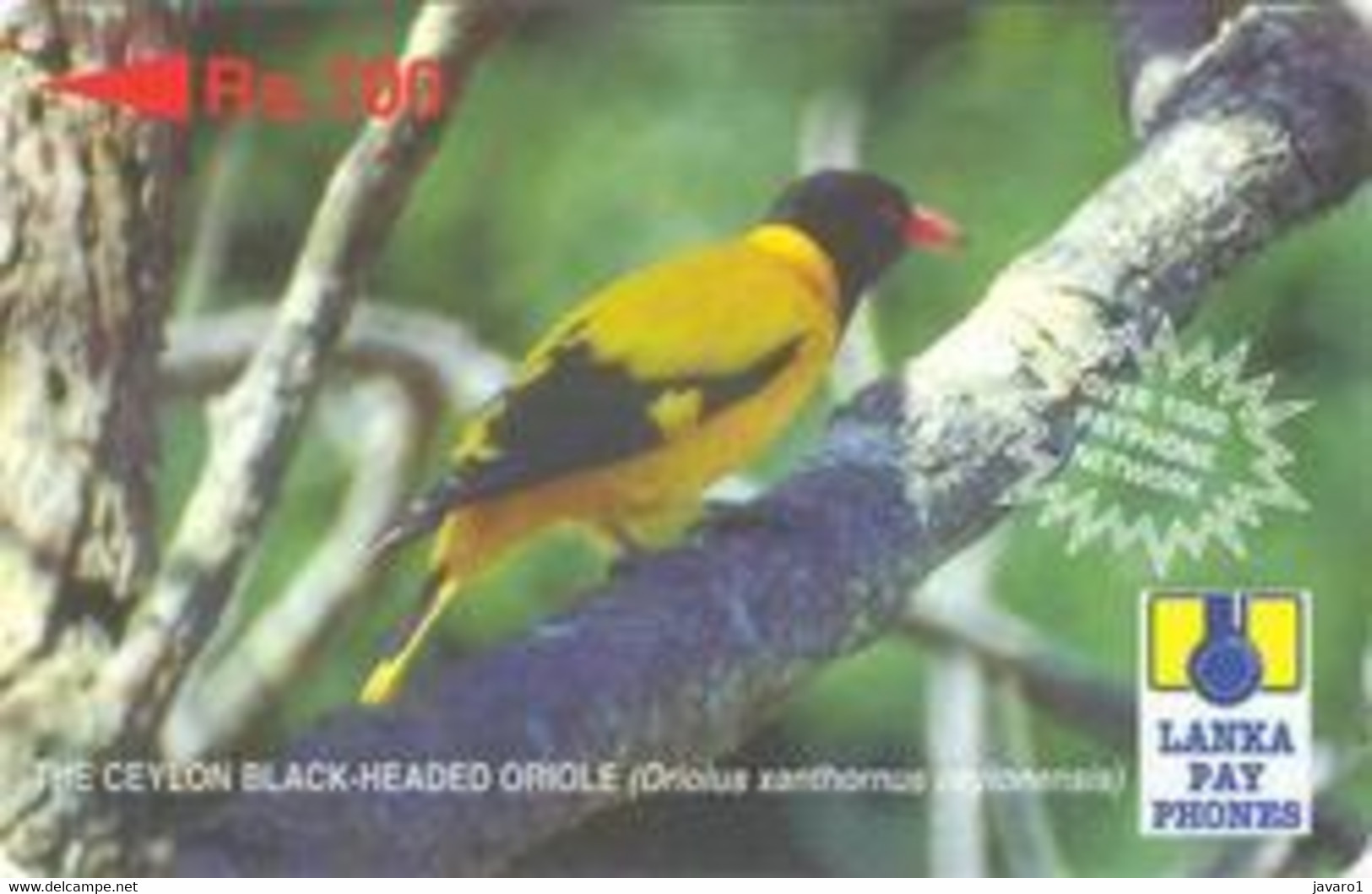 SRILANKA : 28C 100 The Ceylon Black-Headed Oriole (white Print) MINT - Sri Lanka (Ceilán)