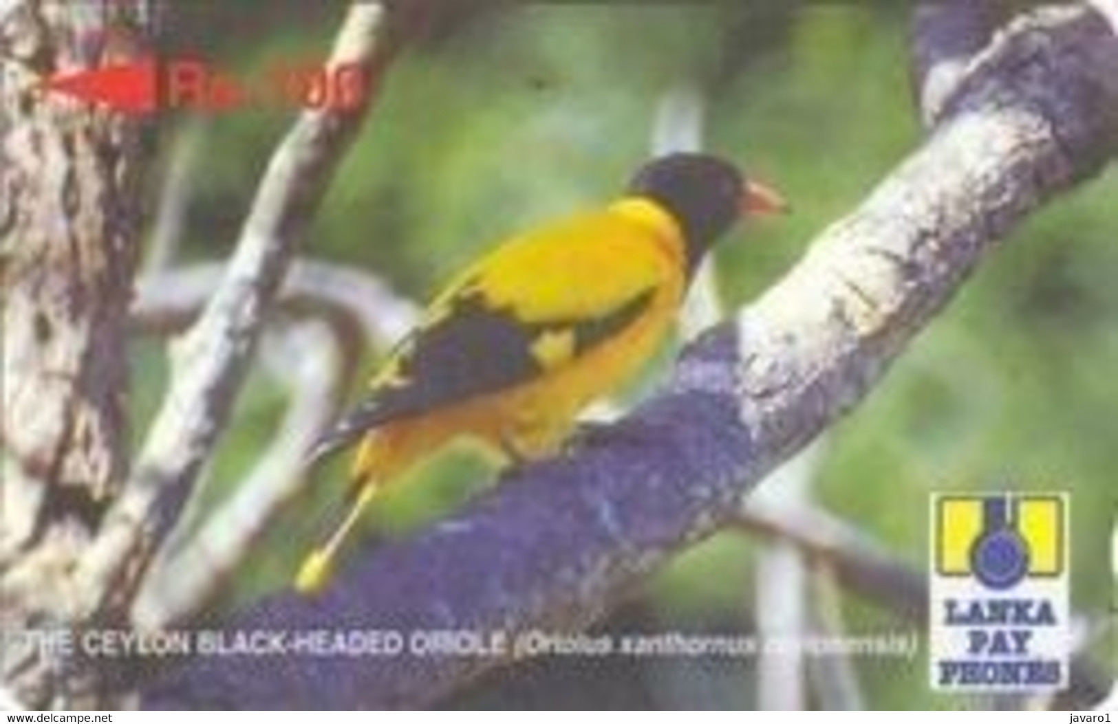 SRILANKA : 25A 100 The Ceylon Black-Headed Oriole USED - Sri Lanka (Ceylon)