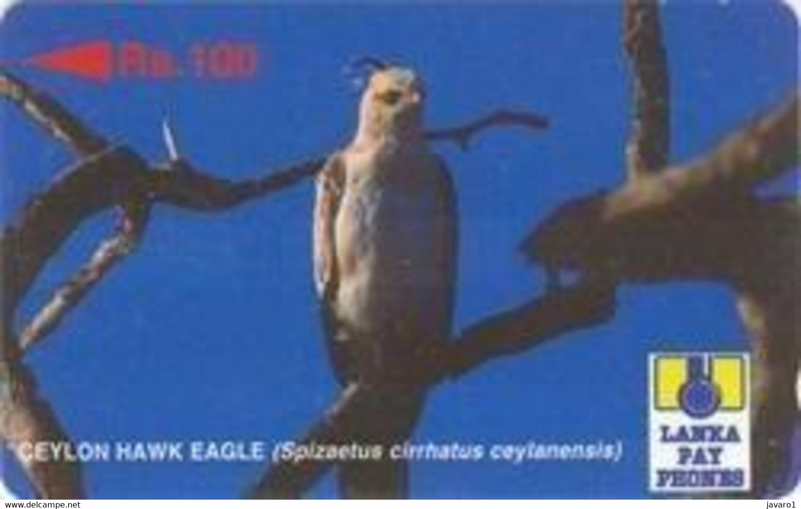 SRILANKA : 23B 100 Ceylon Hawk Eagle USED - Sri Lanka (Ceylon)