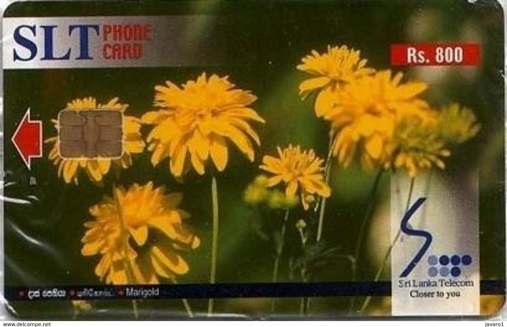 SLT : TC05 Rs800 Flowers Marigold MINT - Sri Lanka (Ceylon)