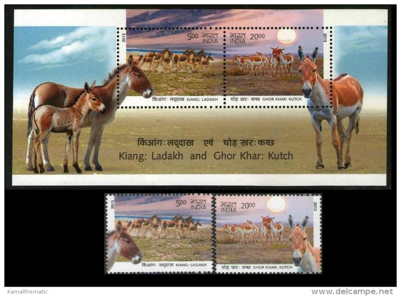 India 2013 MNH SS + 2v, Wild Ass Of Ladakh & Kutch Kiang & Ghor Khar Animals - Esel