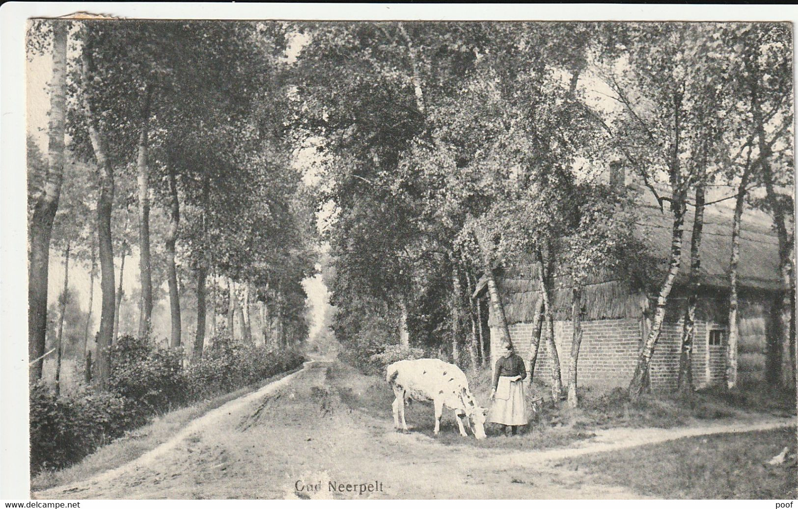 Neerpelt : Vrouw Met Koe 1923 - Neerpelt