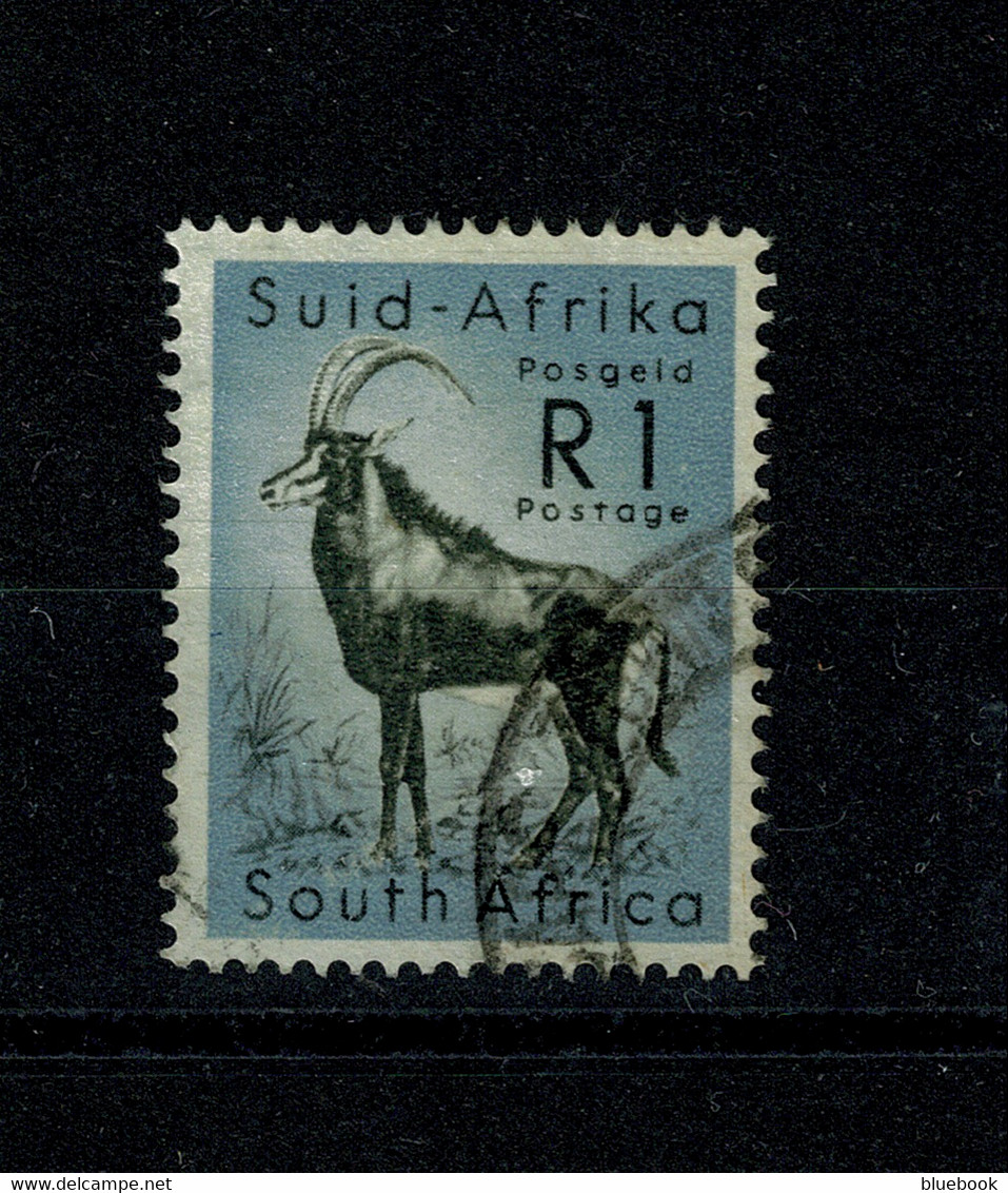 Ref 1455 - 1961 South Africa - R1 Used Stamp - SG 197 - Sable Antelope - Animal Theme - Gibier
