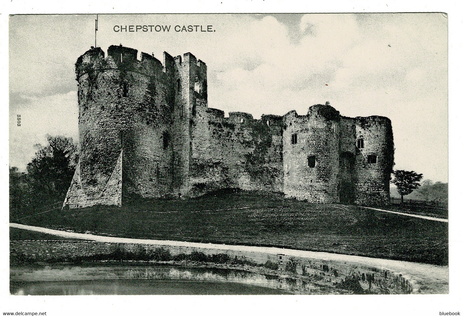 Ref 1456 - Early Peacock Postcard - Chepstow Castle Monmouthshire Wales - Monmouthshire