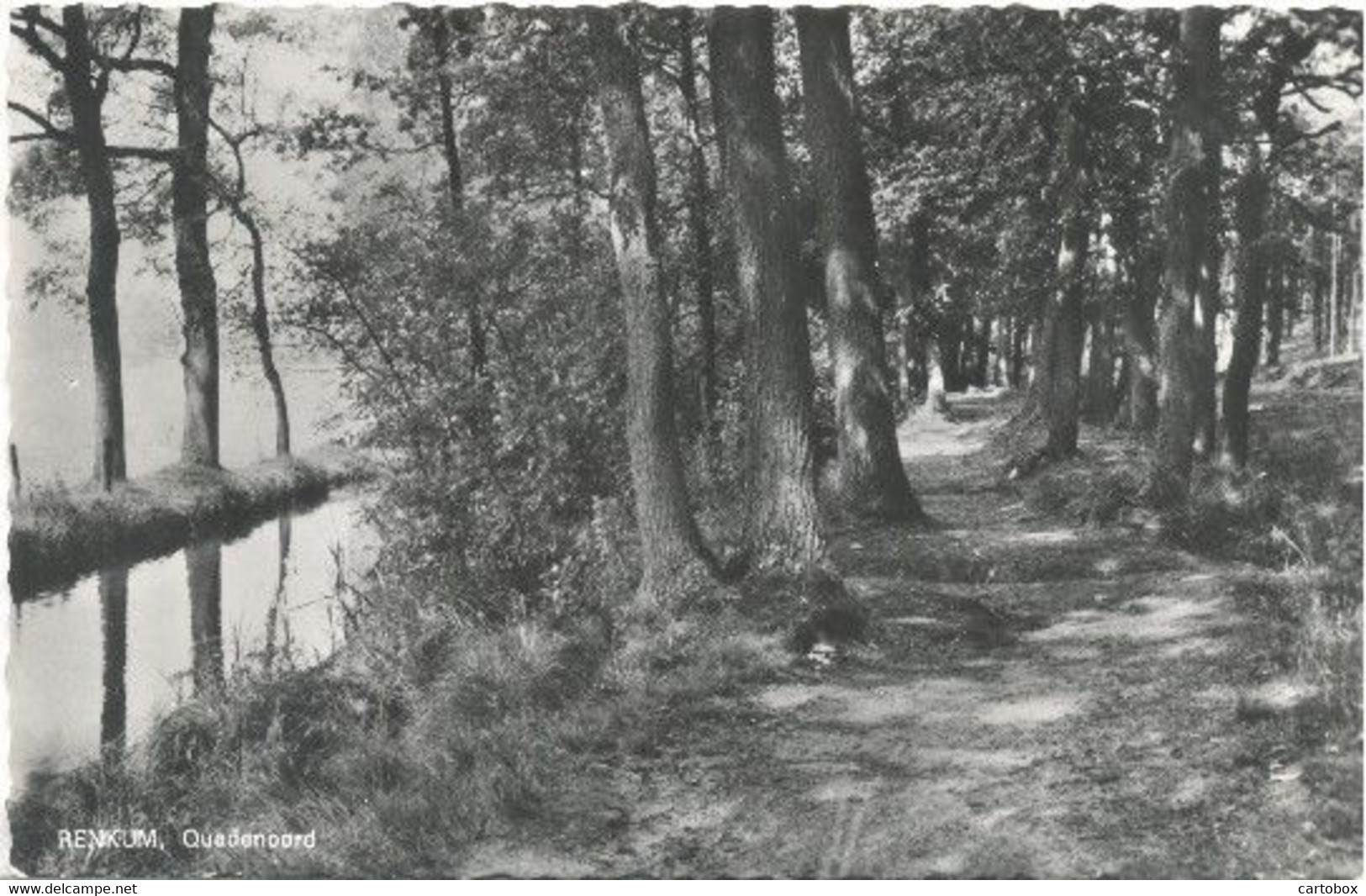 Renkum, Quadenoord - Renkum