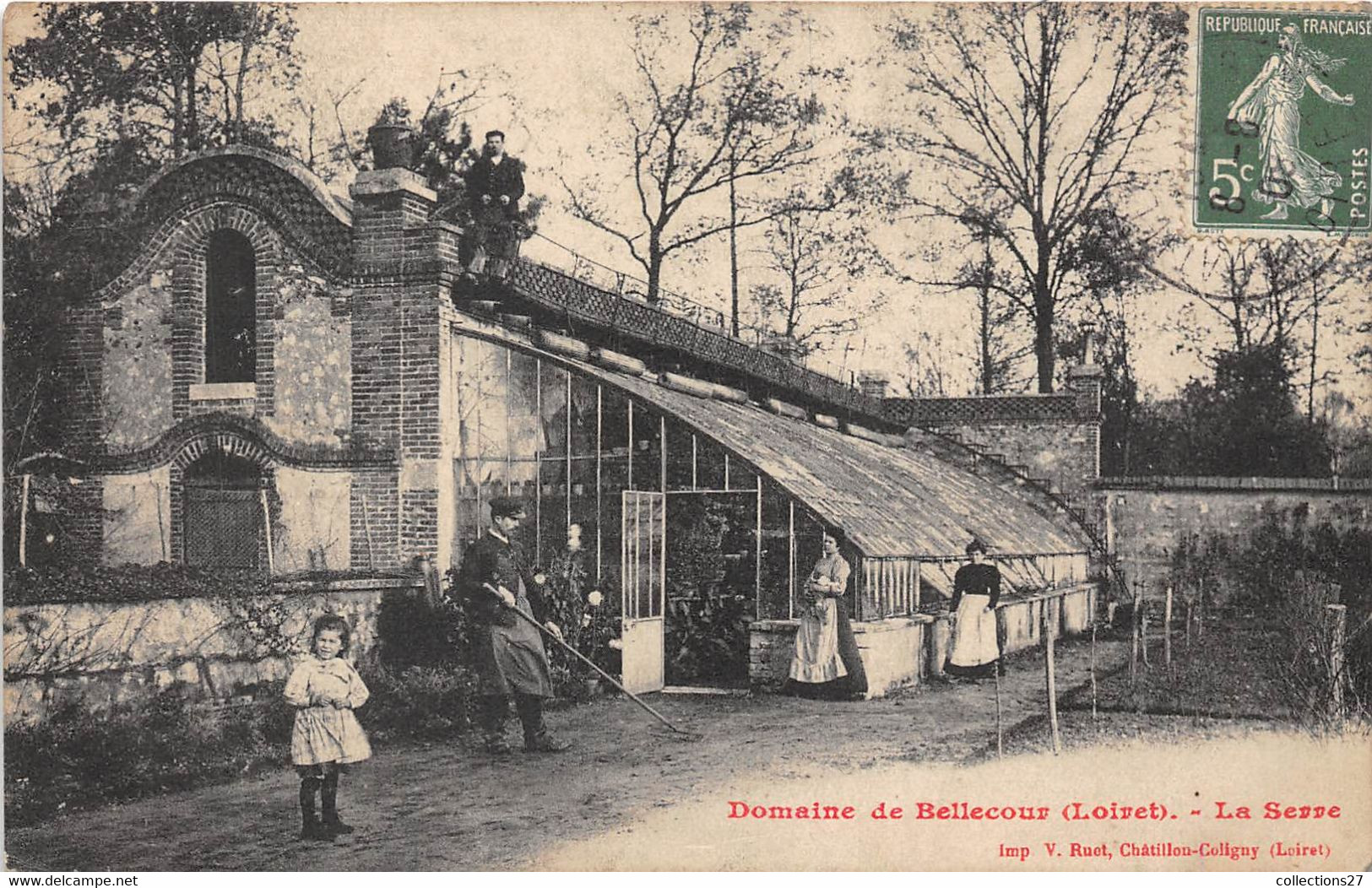 45-PITHIVIERS- DOMAINE DE BELLECOUR- LA SERRE - Pithiviers