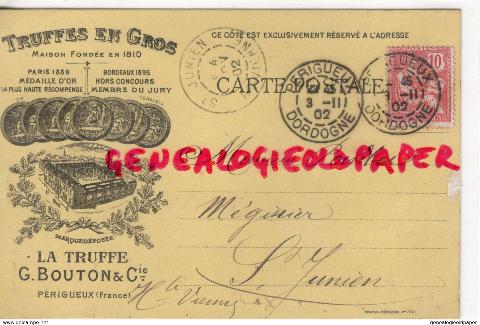 24- PERIGUEUX- RARE CARTE TRUFFES EN GROS - LA TRUFFE G. BOUTON- 1902- 87-SAINT JUNIEN POINTU MEGISSERIE MEGISSIER - Périgueux