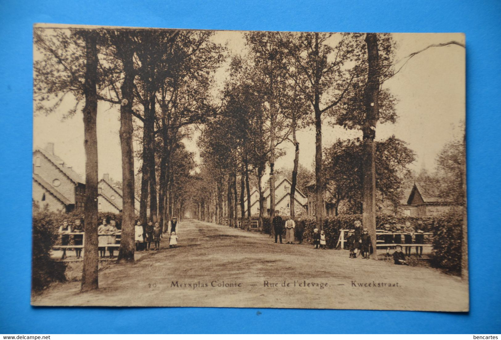 Merxplas Colonie 1928: Rue De L'élevage - Kweekstraat Très Animée - Merksplas