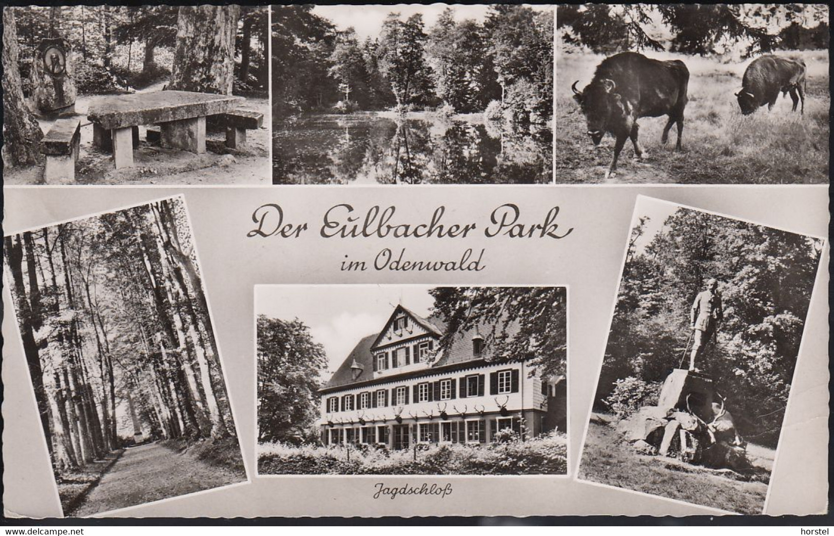 D-64720 Michelstadt - Der Eulbacher Park Im Odenwald - Michelstadt