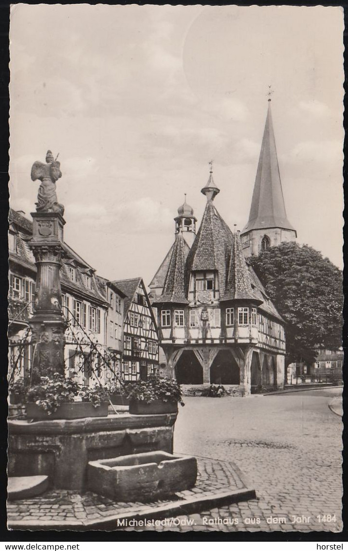 D-64720 Michelstadt - Rathaus Und Michelsbrunnen ( 1961 Gel.) - Michelstadt