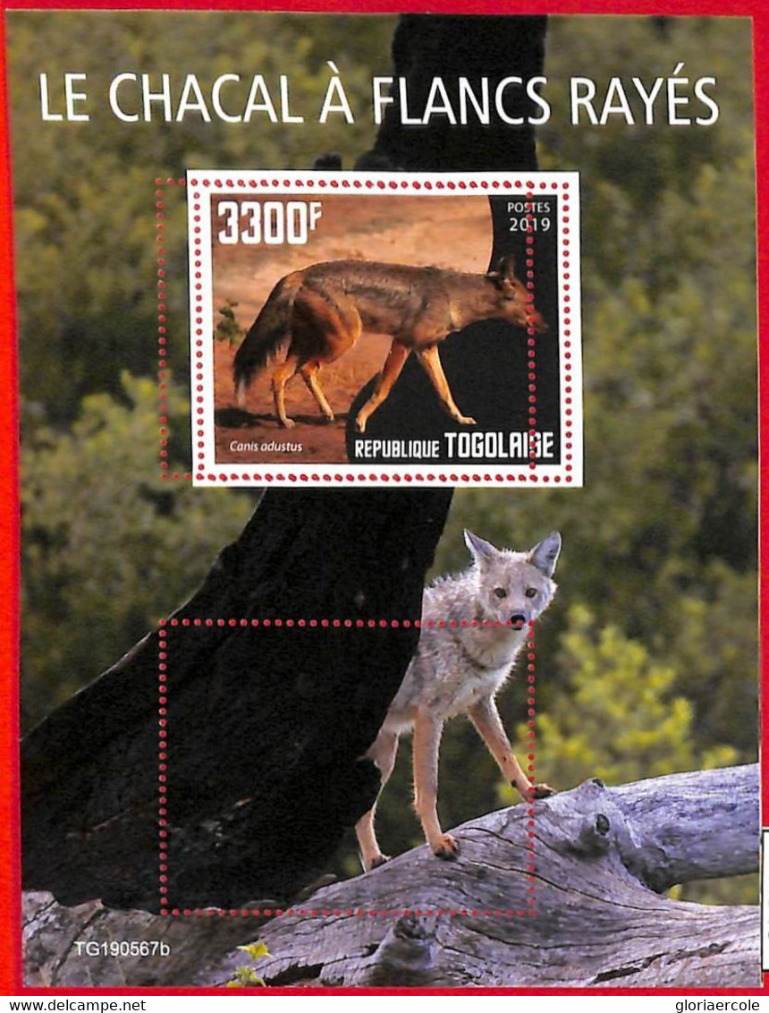 A3040 - TOGO, ERROR MISSPERF, Souvenir Sheet: 2019, Side-striped Jackals, Fauna - Altri & Non Classificati