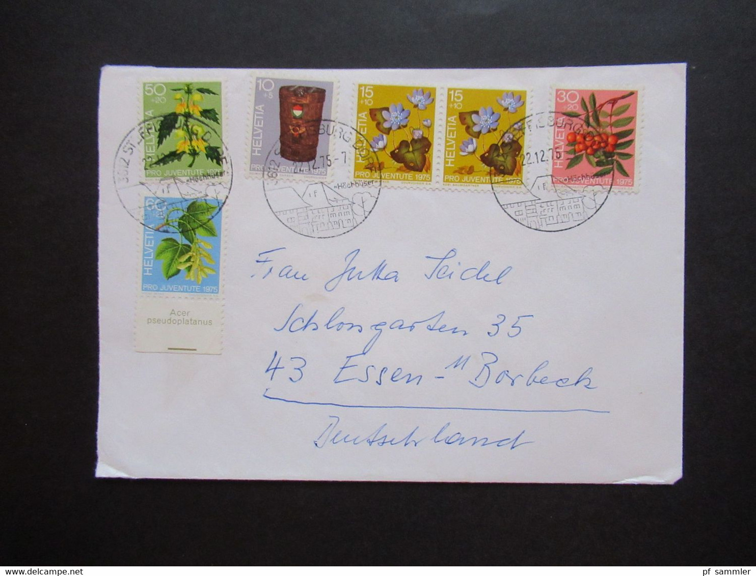 Schweiz 1975 Pro Juventute Tag Der Briefmarke Satzbrief Nr. 1066 Unterrand Acer Preudoplatanus SST Steffisburg Dorf - Briefe U. Dokumente