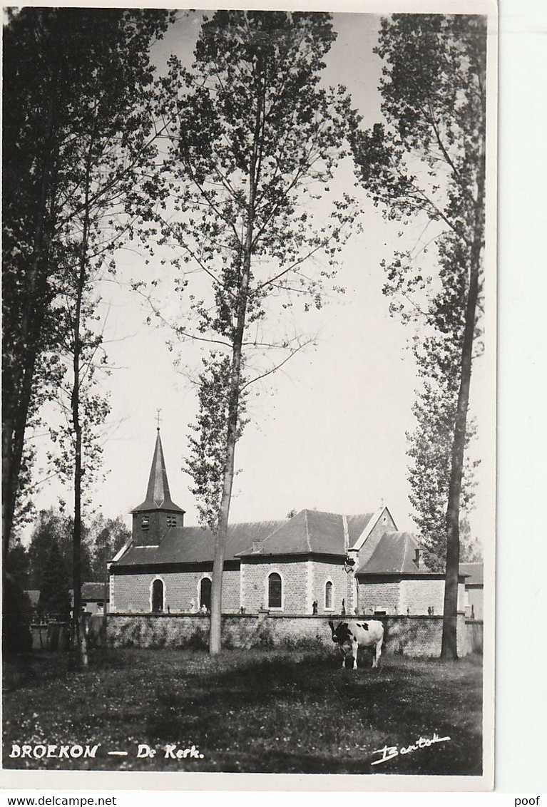 Broekom : De Kerk 1951 - Borgloon